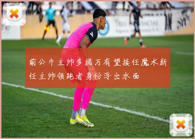 前公牛主帅多诺万有望接任魔术新任主帅领跑者身份浮出水面