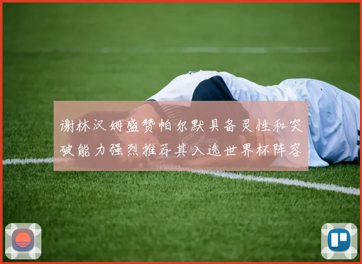 谢林汉姆盛赞帕尔默具备灵性和突破能力强烈推荐其入选世界杯阵容